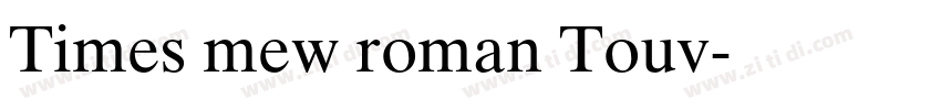 Times mew roman Touv字体转换